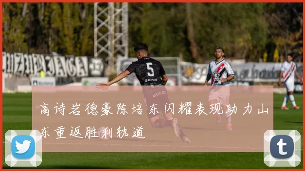 高诗岩德豪陈培东闪耀表现助力山东重返胜利轨道